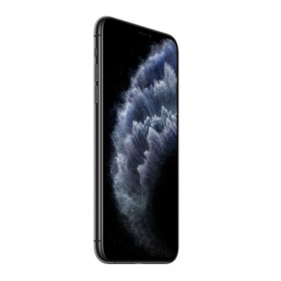 iPhone 11 Pro Max 256gb Space Gray (CONSIGLIATO) GARANZIA APPLE