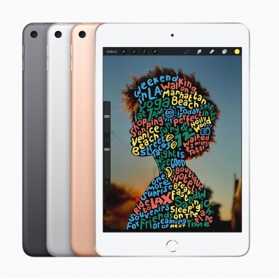 iPad Mini 5 256gb Silver WiFi Cellular